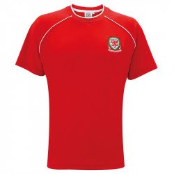 OF980 - T-shirt adulte Pays de Galles